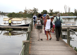 Consultoria turismo na natureza