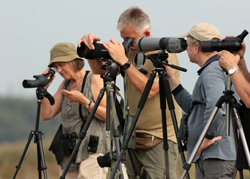 Consultoria turismo na natureza