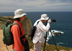 Turismo ornitológico / Birdwatching - Metnature, Consultoria e Serviços