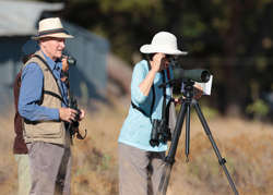 Turismo ornitológico / Birdwatching - Metnature, Consultoria e Serviços