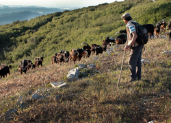 Turismo criativo - Metnature, Consultoria e Serviços