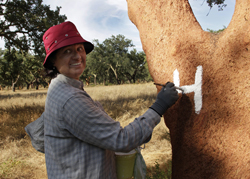 Turismo criativo - Metnature, Consultoria e Serviços