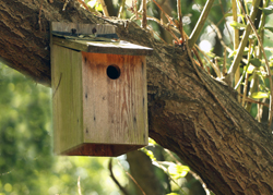 Observatórios e outros equipamentos - Metnature, Consultoria e Serviços