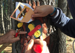 Percursos pedestres - Metnature, Consultoria e Serviços