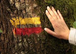 Percursos pedestres - Metnature, Consultoria e Serviços