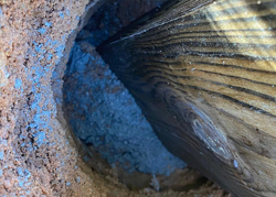 Instalação de sinalética - Metnature, Consultoria e Serviços